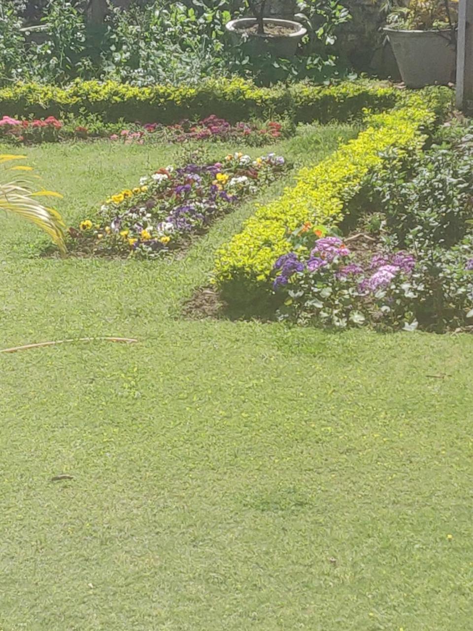 Heritage Homestay Jammu Extérieur photo