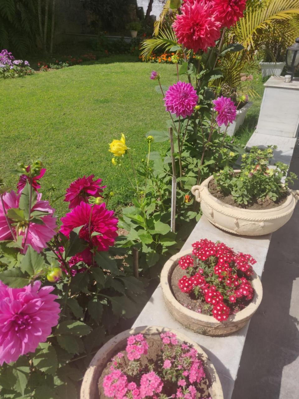 Heritage Homestay Jammu Extérieur photo